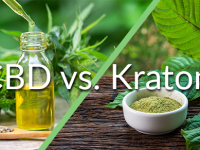 Kratom Vs. CBD-Which One Should You&nbsp;Use?