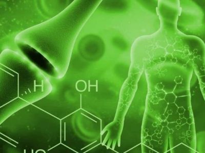 How long does CBD stay in your&nbsp;system?